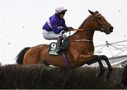 1 May 2025; Jasko Des Dames, with Darragh O'Keeffe up, during the Frontline Security Handicap Steeplechase on day three of the Punchestown Festival at Punchestown Racecourse in Kildare. Photo by Seb Daly/Sportsfile