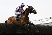 1 May 2025; A Law Of Her Own, with Sam Ewing up, during the Frontline Security Handicap Steeplechase on day three of the Punchestown Festival at Punchestown Racecourse in Kildare. Photo by Seb Daly/Sportsfile