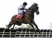 1 May 2025; Battle Of Ridgeway, with Liam Adam McKenna up, during the Specialist Group Handicap Hurdle on day three of the Punchestown Festival at Punchestown Racecourse in Kildare. Photo by Seb Daly/Sportsfile