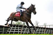 1 May 2025; Battle Of Ridgeway, with Liam Adam McKenna up, during the Specialist Group Handicap Hurdle on day three of the Punchestown Festival at Punchestown Racecourse in Kildare. Photo by Seb Daly/Sportsfile