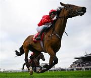 1 May 2025; Home By The Lee, with JJ Slevin up, during the Ladbrokes Champion Stayers Hurdle on day three of the Punchestown Festival at Punchestown Racecourse in Kildare. Photo by Seb Daly/Sportsfile