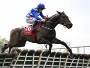 1 May 2025; Raydamann, with Sam Ewing up, during the Specialist Group Handicap Hurdle on day three of the Punchestown Festival at Punchestown Racecourse in Kildare. Photo by Seb Daly/Sportsfile