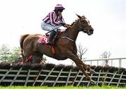 1 May 2025; Magic Day, with Darragh O'Keeffe up, during the Specialist Group Handicap Hurdle on day three of the Punchestown Festival at Punchestown Racecourse in Kildare. Photo by Seb Daly/Sportsfile