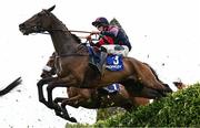 1 May 2025; Benny The Duke, with Frankie Patrick Murphy up, jumps the Glendalough Drop Hedge during the Mongey Communications La Touche Cup Cross Country Steeplechase on day three of the Punchestown Festival at Punchestown Racecourse in Kildare. Photo by Seb Daly/Sportsfile