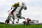 1 May 2025; Asterion Forlonge, with Paul Townend up, during the Ladbrokes Champion Stayers Hurdle on day three of the Punchestown Festival at Punchestown Racecourse in Kildare. Photo by Seb Daly/Sportsfile