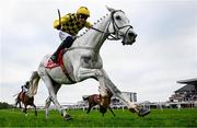 1 May 2025; Asterion Forlonge, with Paul Townend up, during the Ladbrokes Champion Stayers Hurdle on day three of the Punchestown Festival at Punchestown Racecourse in Kildare. Photo by Seb Daly/Sportsfile