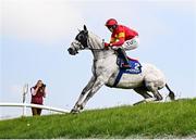 1 May 2025; Vanillier, with Keith Donoghue up, jumps Ruby's Double during the Mongey Communications La Touche Cup Cross Country Steeplechase on day three of the Punchestown Festival at Punchestown Racecourse in Kildare. Photo by Seb Daly/Sportsfile