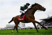 1 May 2025; Winter Fog, with Brian Hayes up, during the Ladbrokes Champion Stayers Hurdle on day three of the Punchestown Festival at Punchestown Racecourse in Kildare. Photo by Seb Daly/Sportsfile