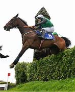 1 May 2025; Desertmore House, with Ricky Doyle up, jumps the Glendalough Drop Hedge during the Mongey Communications La Touche Cup Cross Country Steeplechase on day three of the Punchestown Festival at Punchestown Racecourse in Kildare. Photo by Seb Daly/Sportsfile