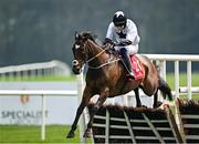 1 May 2025; Battle Of Ridgeway, with Liam Adam McKenna up, during the Specialist Group Handicap Hurdle during day three of the Punchestown Festival at Punchestown Racecourse in Kildare. Photo by Seb Daly/Sportsfile