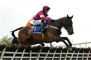 1 May 2025; Karamoja, with Paul Townend up, during the Close Brothers Irish EBF Mares Novice Hurdle on day three of the Punchestown Festival at Punchestown Racecourse in Kildare. Photo by Seb Daly/Sportsfile