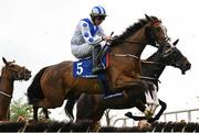 1 May 2025; Dream On Baby, with Donagh Meyler up, during the Close Brothers Irish EBF Mares Novice Hurdle on day three of the Punchestown Festival at Punchestown Racecourse in Kildare. Photo by Seb Daly/Sportsfile