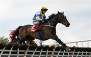 1 May 2025; Rocky's Diamond, with Shane Fitzgerald up, during the Ladbrokes Champion Stayers Hurdle on day three of the Punchestown Festival at Punchestown Racecourse in Kildare. Photo by Seb Daly/Sportsfile