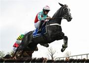 1 May 2025; Timetoshine, with James Bowen up, during the Close Brothers Irish EBF Mares Novice Hurdle on day three of the Punchestown Festival at Punchestown Racecourse in Kildare. Photo by Seb Daly/Sportsfile