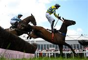 2 May 2025; Fountain House, with Eoin Mahon up, jumps the last during the first circuit on their way to winning the Stanley Asphalt Hunters Steeplechase for the Bishopscourt Cup on day four of the Punchestown Festival at Punchestown Racecourse in Kildare. Photo by Seb Daly/Sportsfile