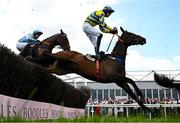 2 May 2025; Fountain House, with Eoin Mahon up, jumps the last during the first circuit on their way to winning the Stanley Asphalt Hunters Steeplechase for the Bishopscourt Cup on day four of the Punchestown Festival at Punchestown Racecourse in Kildare. Photo by Seb Daly/Sportsfile