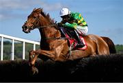 2 May 2025; Dinoblue, with Mark Walsh up, jumps the last on their way to winning the Hanlon Concrete Irish EBF Glencarraig Lady Francis Flood Mares Steeplechase on day four of the Punchestown Festival at Punchestown Racecourse in Kildare. Photo by Seb Daly/Sportsfile