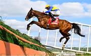 2 May 2025; Brides Hill, with Keith Donoghue up, during the Hanlon Concrete Irish EBF Glencarraig Lady Francis Flood Mares Steeplechase on day four of the Punchestown Festival at Punchestown Racecourse in Kildare. Photo by Seb Daly/Sportsfile