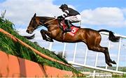 2 May 2025; Broomfield Bijou, with Sam Ewing up, during the Hanlon Concrete Irish EBF Glencarraig Lady Francis Flood Mares Steeplechase on day four of the Punchestown Festival at Punchestown Racecourse in Kildare. Photo by Seb Daly/Sportsfile
