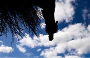 2 May 2025; Neveradullmoment, with Charlie O'Dwyer up, jumps the last during the QuinnBet Novice Handicap Steeplechase on day four of the Punchestown Festival at Punchestown Racecourse in Kildare. Photo by Seb Daly/Sportsfile