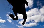 2 May 2025; Neveradullmoment, with Charlie O'Dwyer up, jumps the last during the QuinnBet Novice Handicap Steeplechase on day four of the Punchestown Festival at Punchestown Racecourse in Kildare. Photo by Seb Daly/Sportsfile