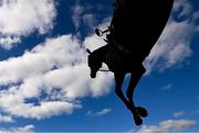 2 May 2025; Sir Argus, with Charlie O'Dwyer up, jumps the last after, parting company with jockey Brian Hayes, during the QuinnBet Novice Handicap Steeplechase on day four of the Punchestown Festival at Punchestown Racecourse in Kildare. Photo by Seb Daly/Sportsfile