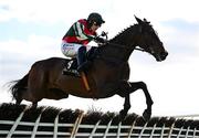 2 May 2025; Final Demand, with Paul Townend up, jumps the last on their way to winning the Alanna Homes Champion Novice Hurdle on day four of the Punchestown Festival at Punchestown Racecourse in Kildare. Photo by Seb Daly/Sportsfile