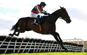 2 May 2025; Final Demand, with Paul Townend up, jumps the last on their way to winning the Alanna Homes Champion Novice Hurdle on day four of the Punchestown Festival at Punchestown Racecourse in Kildare. Photo by Seb Daly/Sportsfile