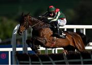 2 May 2025; Final Demand, with Paul Townend up, jumps the last on their way to winning the Alanna Homes Champion Novice Hurdle on day four of the Punchestown Festival at Punchestown Racecourse in Kildare. Photo by Seb Daly/Sportsfile