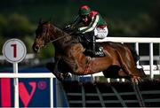 2 May 2025; Final Demand, with Paul Townend up, jumps the last on their way to winning the Alanna Homes Champion Novice Hurdle on day four of the Punchestown Festival at Punchestown Racecourse in Kildare. Photo by Seb Daly/Sportsfile