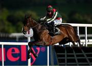 2 May 2025; Final Demand, with Paul Townend up, jumps the last on their way to winning the Alanna Homes Champion Novice Hurdle on day four of the Punchestown Festival at Punchestown Racecourse in Kildare. Photo by Seb Daly/Sportsfile