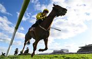 2 May 2025; State Man, with Paul Townend up, on their way to winning the Boodles Champion Hurdle on day four of the Punchestown Festival at Punchestown Racecourse in Kildare. Photo by Seb Daly/Sportsfile