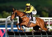 2 May 2025; State Man, with Paul Townend up, jumps the last during the first circuit on their way to winning the Boodles Champion Hurdle on day four of the Punchestown Festival at Punchestown Racecourse in Kildare. Photo by Seb Daly/Sportsfile