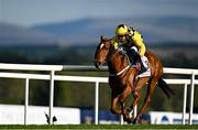 2 May 2025; State Man, with Paul Townend up, on their way to winning the Boodles Champion Hurdle on day four of the Punchestown Festival at Punchestown Racecourse in Kildare. Photo by Seb Daly/Sportsfile
