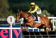 2 May 2025; State Man, with Paul Townend up, jumps the last during the first circuit on their way to winning the Boodles Champion Hurdle on day four of the Punchestown Festival at Punchestown Racecourse in Kildare. Photo by Seb Daly/Sportsfile