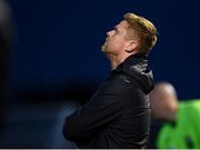 2 May 2025; Shelbourne manager Damien Duff during the SSE Airtricity Men's Premier Division match between Derry City and Shelbourne at The Ryan McBride Brandywell Stadium in Derry. Photo by Stephen McCarthy/Sportsfile
