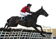 2 May 2025; Queensbury Boy, with David Maxwell up, during the Alanna Homes Champion Novice Hurdle on day four of the Punchestown Festival at Punchestown Racecourse in Kildare. Photo by Seb Daly/Sportsfile
