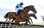 2 May 2025; Tripoli Flyer, with Jonathan Burke up, during the Alanna Homes Champion Novice Hurdle on day four of the Punchestown Festival at Punchestown Racecourse in Kildare. Photo by Seb Daly/Sportsfile