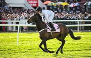 2 May 2025; Jockey James Bowen and Constitution Hill go to post before the Boodles Champion Hurdle on day four of the Punchestown Festival at Punchestown Racecourse in Kildare. Photo by Seb Daly/Sportsfile