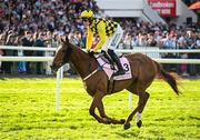 2 May 2025; Jockey Paul Townend and State Man go to post before the Boodles Champion Hurdle on day four of the Punchestown Festival at Punchestown Racecourse in Kildare. Photo by Seb Daly/Sportsfile