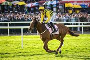2 May 2025; Jockey Paul Townend and State Man go to post before the Boodles Champion Hurdle on day four of the Punchestown Festival at Punchestown Racecourse in Kildare. Photo by Seb Daly/Sportsfile