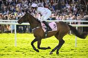2 May 2025; Jockey Loran Williams and Golden Ace go to post before the Boodles Champion Hurdle on day four of the Punchestown Festival at Punchestown Racecourse in Kildare. Photo by Seb Daly/Sportsfile