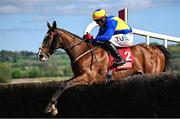 2 May 2025; Brides Hill, with Keith Donoghue up, during the Hanlon Concrete Irish EBF Glencarraig Lady Francis Flood Mares Steeplechase on day four of the Punchestown Festival at Punchestown Racecourse in Kildare. Photo by Seb Daly/Sportsfile