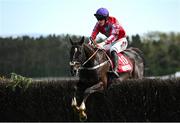 2 May 2025; Ontheropes, with Charlie Mullins up, during the Event Power Champion Hunters Steeplechase on day four of the Punchestown Festival at Punchestown Racecourse in Kildare. Photo by Seb Daly/Sportsfile
