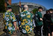 3 May 2025; Northampton supporters before the Investec Champions Cup semi-final match between Leinster and Northampton Saints at the Aviva Stadium in Dublin. Photo by David Fitzgerald/Sportsfile
