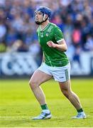 3 May 2025; Shane O'Brien of Limerick celebrates after scoring a point during the Munster GAA Hurling Senior Championship Round 3 match between Waterford and Limerick at Walsh Park in Waterford. Photo by Piaras Ó Mídheach/Sportsfile