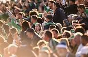 3 May 2025; Limerick supporters during the Munster GAA Hurling Senior Championship Round 3 match between Waterford and Limerick at Walsh Park in Waterford. Photo by Piaras Ó Mídheach/Sportsfile