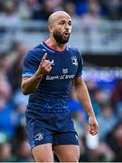 3 May 2025; Jamison Gibson-Park of Leinster during the Investec Champions Cup semi-final match between Leinster and Northampton Saints at the Aviva Stadium in Dublin. Photo by Seb Daly/Sportsfile