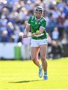3 May 2025; Gearóid Hegarty of Limerick during the Munster GAA Hurling Senior Championship Round 3 match between Waterford and Limerick at Walsh Park in Waterford. Photo by Piaras Ó Mídheach/Sportsfile