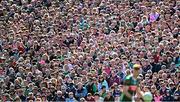 4 May 2025; Spectators during the Connacht GAA Football Senior Championship final match between Mayo and Galway at Hastings Insurance MacHale Park in Castlebar, Mayo. Photo by Seb Daly/Sportsfile